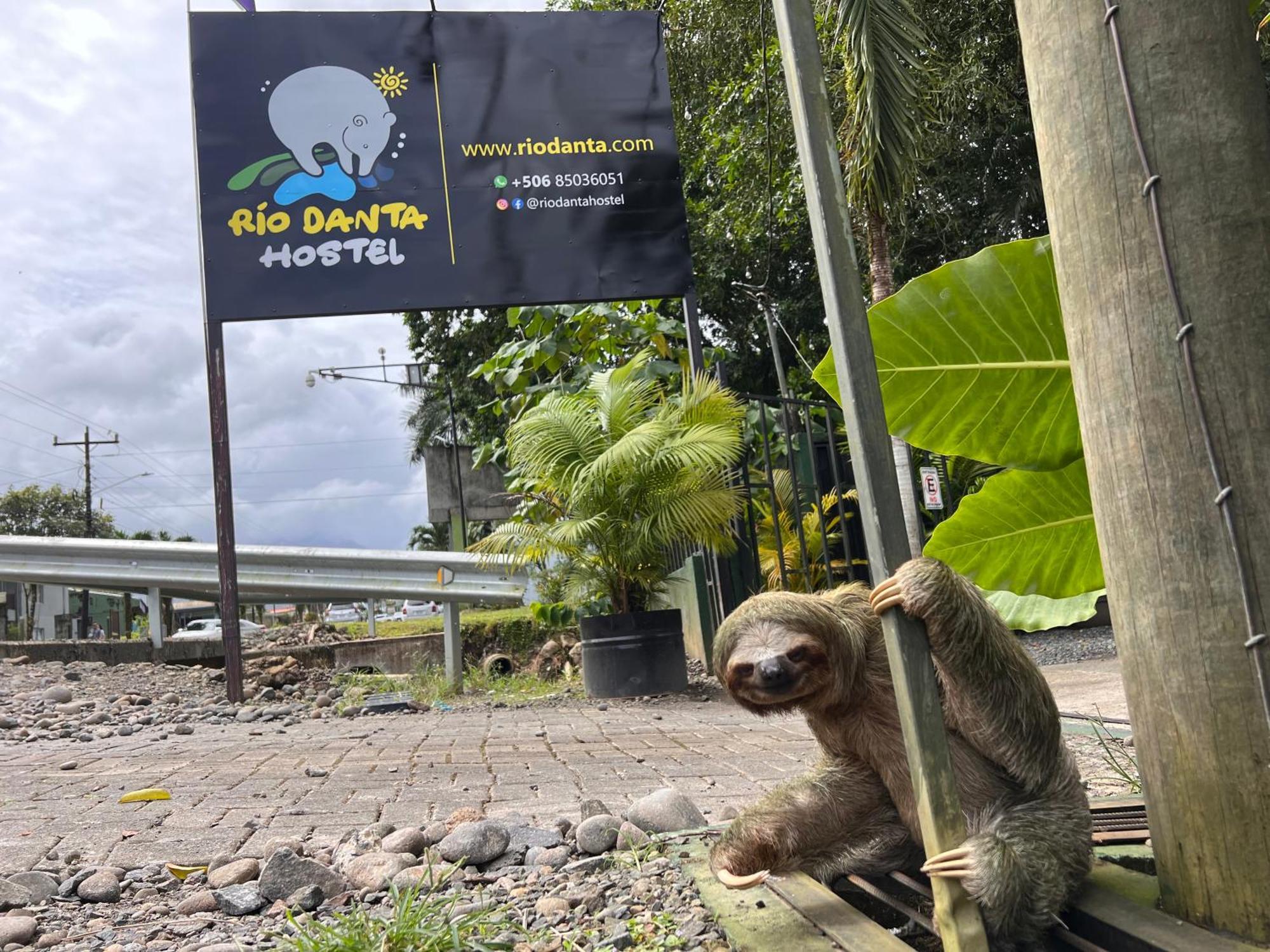 Rio Danta Hostel La Fortuna Eksteriør bilde